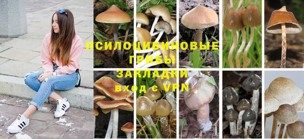каннабис Богородск