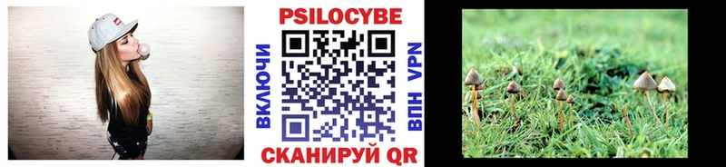 Псилоцибиновые грибы Cubensis Пенза